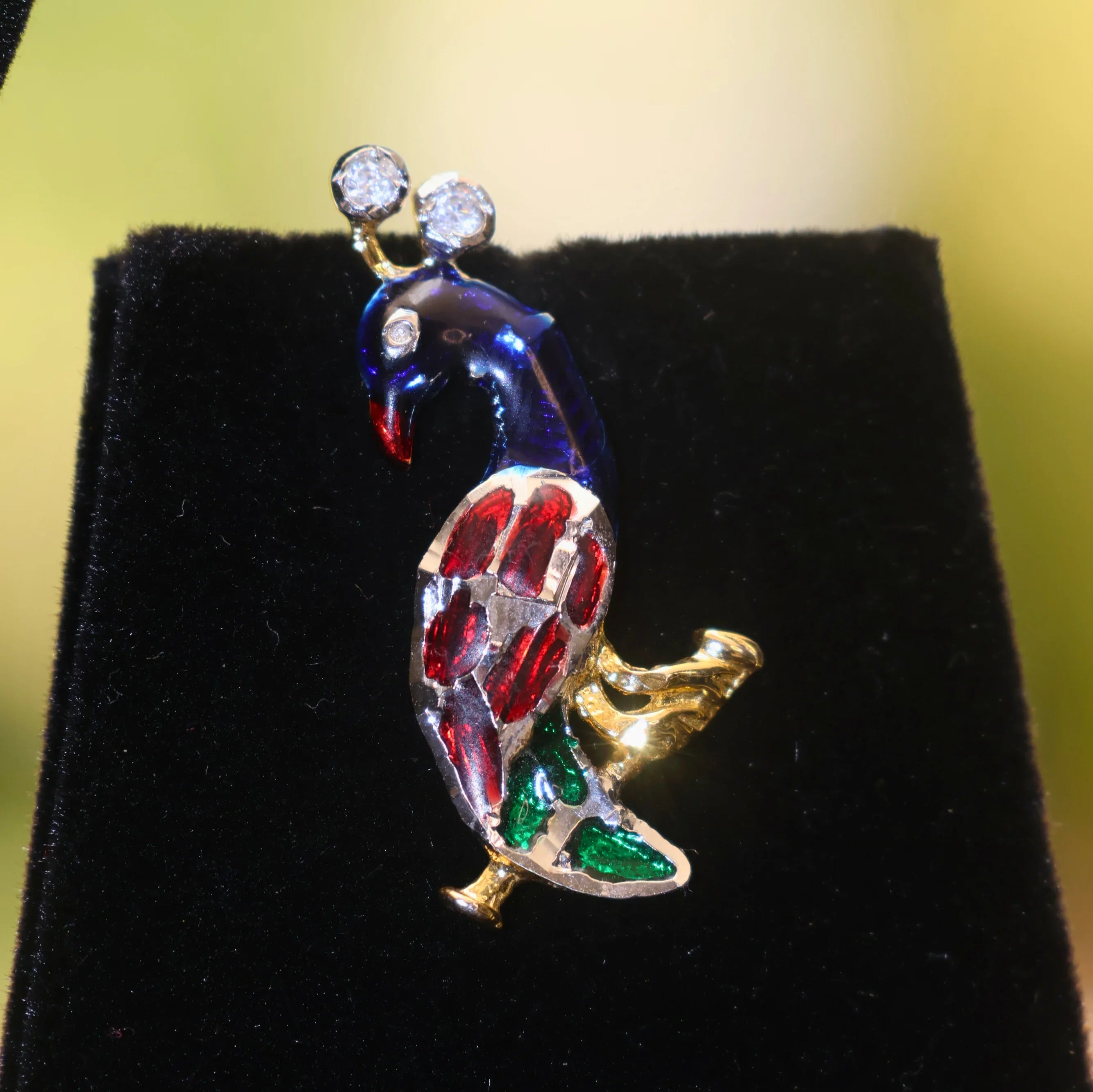 Enchanted Peacock Set